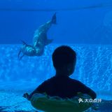 珠海长隆海洋王国必住长隆旗舰横琴湾酒店❗️