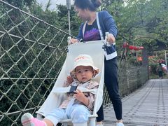 -海南热带雨林国家公园吊罗山景区
