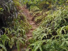 -阳台山森林公园