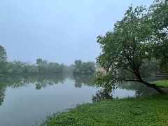 -新荣记(西溪湿地店)