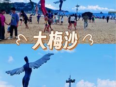 -大梅沙海滨公园