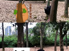 -杭州野生动物世界