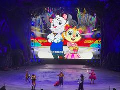 -广州长隆国际大马戏