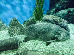 -福州罗源湾海洋世界旅游区