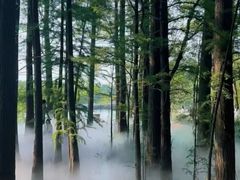 -东湖落雁景区