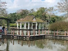 -中国科学院西双版纳热带植物园