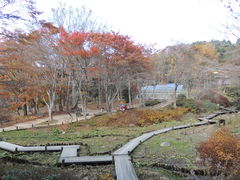 -神户市立六甲山牧场