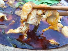 -都江堰石锅鱼