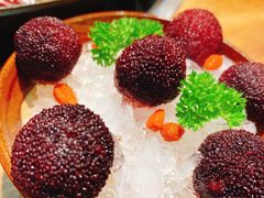 -楠火锅(哈尔滨金爵万象店)