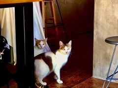 两位老板-251#coffee roasters(沿河东路店)