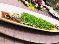 -新光酒家·河豚·海鲜·蟹料理(浦东店)