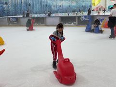 -世界之窗阿尔卑斯冰雪世界