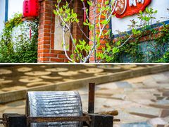 -莱阳濯村樱花园