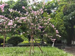 -沙河三洞古桥公园