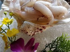 -鼎王麻辣锅(七贤店)