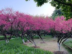 -白塘生态植物园