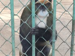 -秦皇岛野生动物园