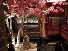 -蓝鲸湾汤泉(包河店)