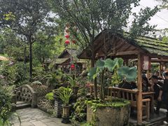 -青城甲(青城山店)