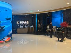 -雍容荟帝王蟹活龙虾展台自助(IFS黑金店)