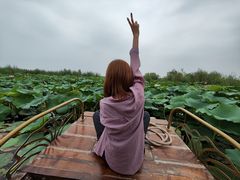 -白洋淀景区