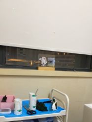 -上海玫瑰医疗美容医院