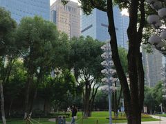 -重庆市江北嘴中央商务区中央公园