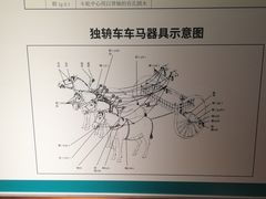 -洛阳周王城天子驾六博物馆