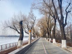 -长春市南湖公园