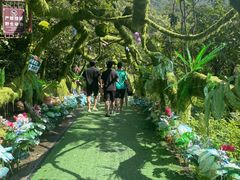 -牛鱼嘴原始生态风景区