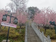 -龟山风景区-龟山电视塔