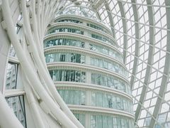 -凤凰中心
