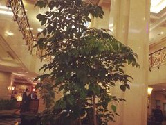 iphone_upload_pic-上海国际饭店