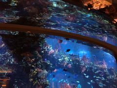 -迪拜帆船酒店海底餐厅