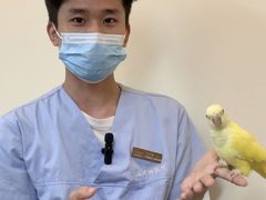 -立德异宠动物医院.兔鸟爬.内窥镜(天河店)