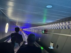 -白鹤梁水下博物馆