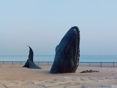 -烟台金沙滩海滨公园