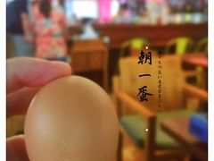朝一无菌蛋-厚道寿喜烧専門店·自助畅食(国贸店)