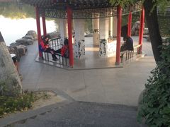 -莲湖公园