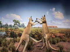 -陕西自然博物馆