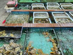 -景好海鲜餐厅(大鹏必选旅游店)