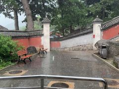 -阳台山自然风景区