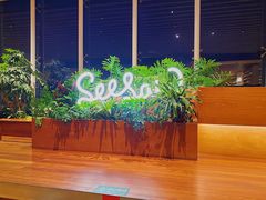 -Seesaw Coffee(朝阳大悦城店)