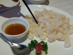清炒虾仁-碧丽宫大酒店(召稼楼店)
