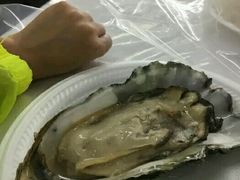-垦丁辉哥生鱼片
