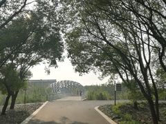 -同里国家湿地公园