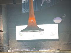 -云海肴云南菜·蒸汽石锅鱼(青岛万象城店)