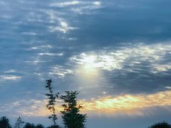 -合肥滨湖国家森林公园