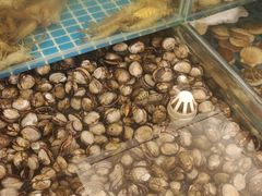 -港畔赶海蒸汽海鲜烧烤自助(仙螺岛店)
