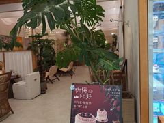 -山与蓝·轻糖鲜果蛋糕(勒泰店)